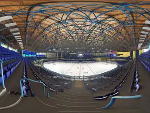 Winter stadium