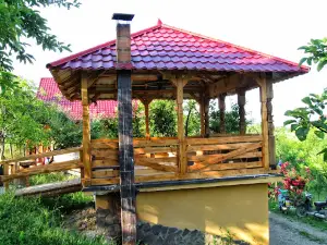 Camping Barsana-BRADOVA,Maramures,Romania.