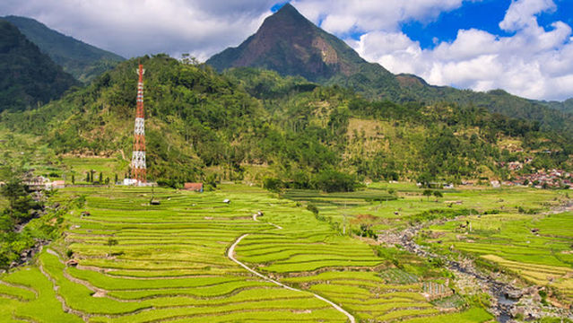 Peak 29 Red and White