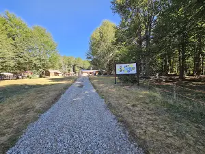 Footprints in the Park