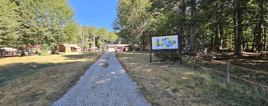 Footprints in the Park