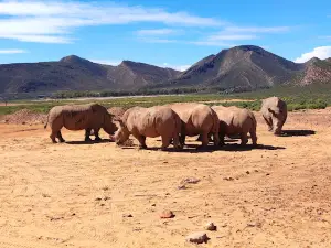 Aquila Private Game Reserve