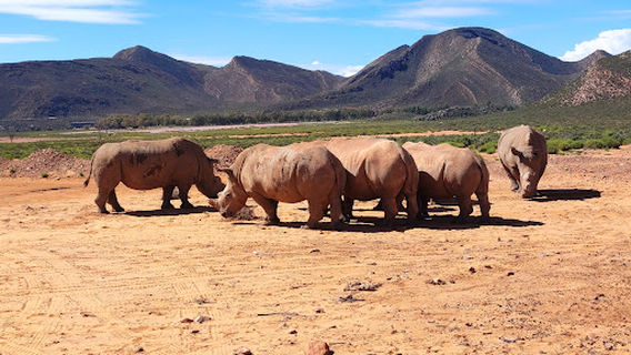 Aquila Private Game Reserve