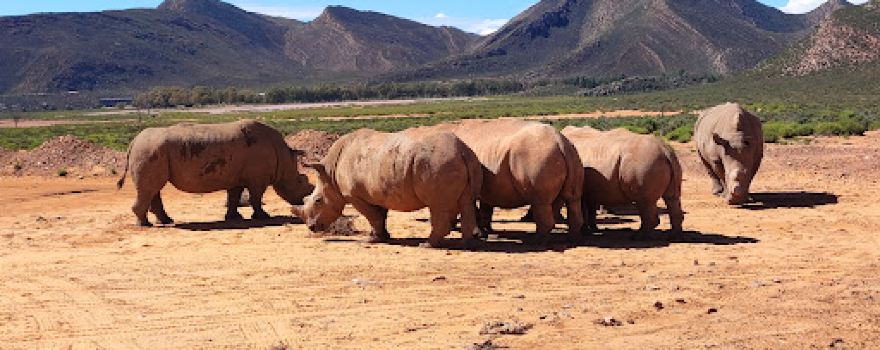 Aquila Private Game Reserve
