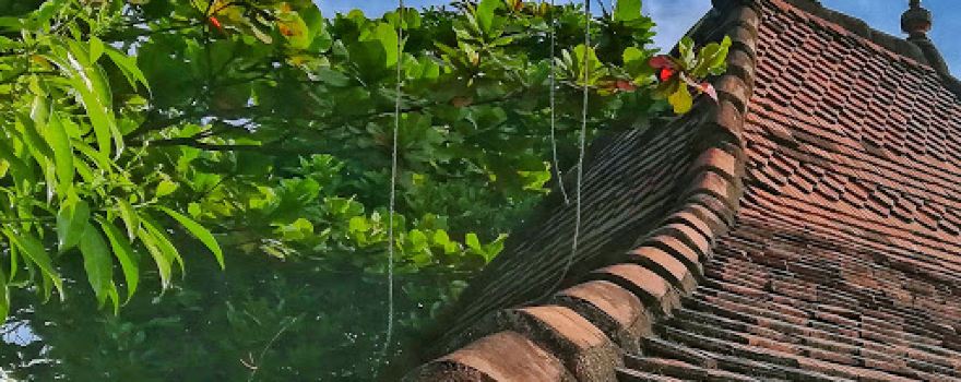 Mangalagama Ambalama මංගලගම අම්බලම