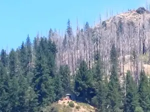 Ruth Lake Campground
