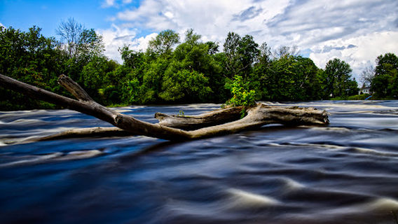 Parc Du Moulin Fisk