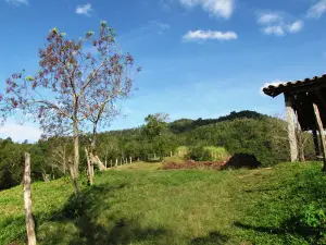 Mirante Tataywarê