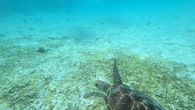 Umbak Sorong boat trip