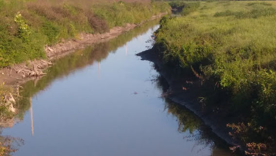 Dave Donaldson Wildlife Management Area