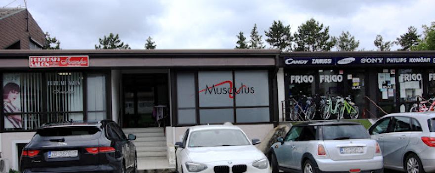 Centar Musculus