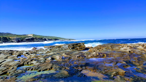Cronulla Golf