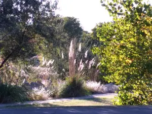 Arapaho Campground