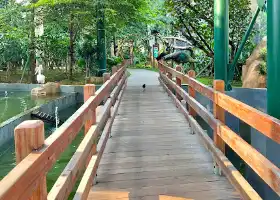 Jakarta Bird Land