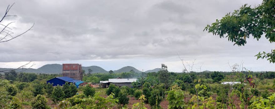 Tanov Farm - ចម្ការតានៅ