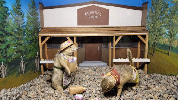 World Famous Gopher Hole Museum