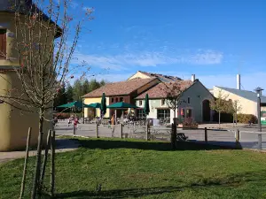 Children covered space