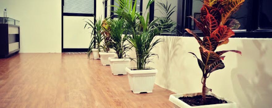 Justfit Gym & Personal Training Studio (Radhika Road)