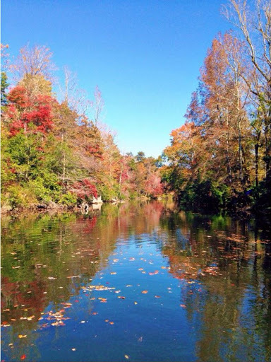 Mentone Scenic Boat Cruises Tickets [2026] - Trip.com