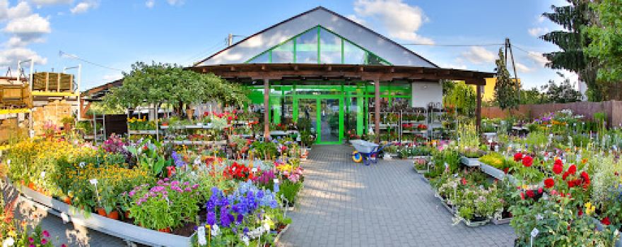 School Plant \ Garden Center 'New Garden'