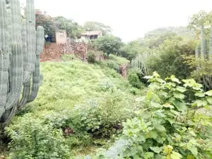 CERRO GORDOPUEBLA MEX