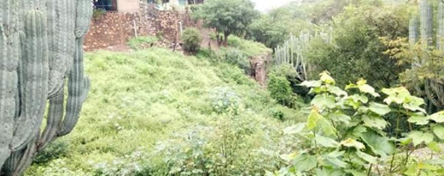 CERRO GORDOPUEBLA MEX