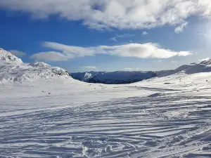 Stavtjørn Alpine