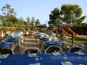 Camping le Dune