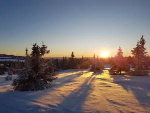 Sjusjøen