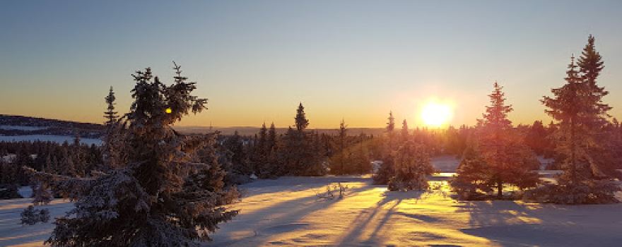 Sjusjøen