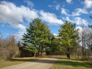 Sugar River Forest Preserve