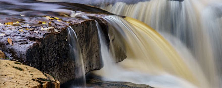 Wain Wath Force