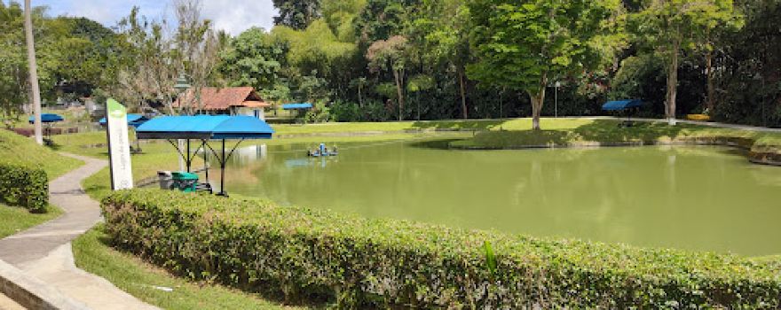 Réplica de Pereira