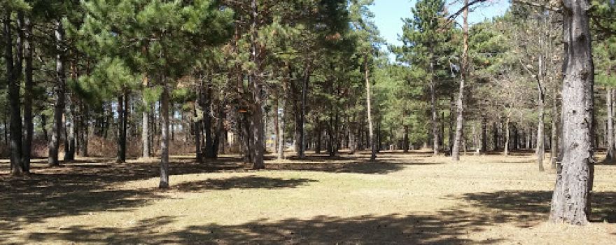 Zimmerman Disc Golf Course