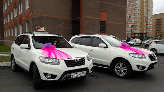 Sokol V Staroy Sitne