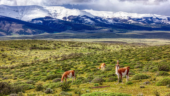 Cordillera del Paine