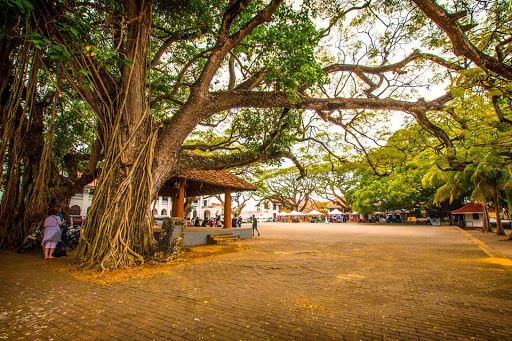Galle Fort Attractions & Tours