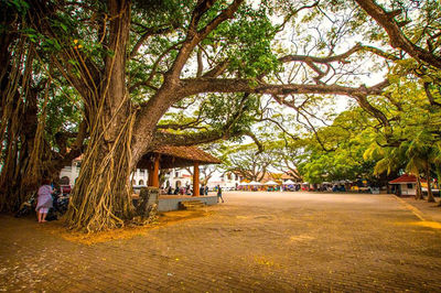 Galle Fort Attractions and Jumpers Sri Lanka
