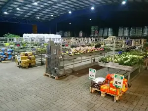 BZN Hagebaumarkt Esens GmbH & Co. KG