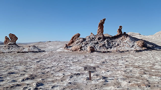Turismo Gato Andino - San Pedro de Atacama