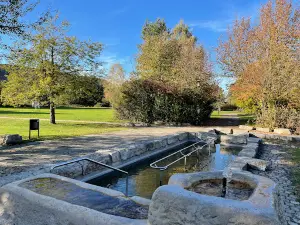 Kur Park