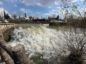 Sarchnar park