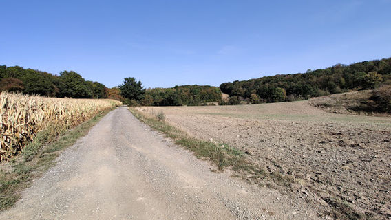 Les Baladanes de l’Hermeton