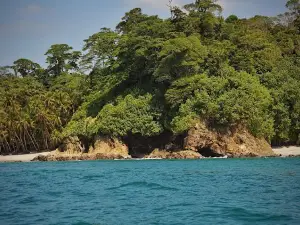 Gorgona Island