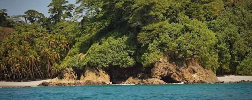 Gorgona Island