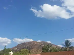 Paróquia São Francisco De Assis