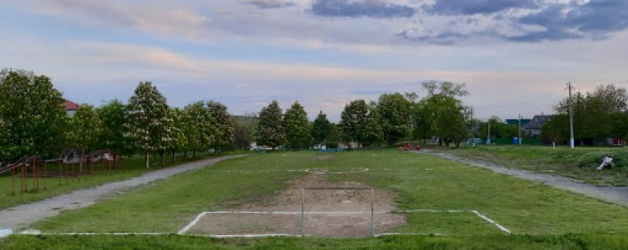 Stadion Larga Noua