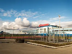 Avangard
