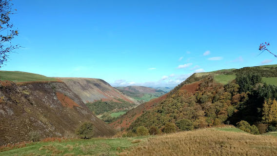 Glaslyn Nature Reserve