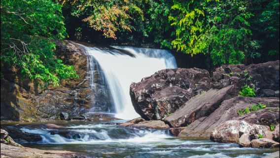Sinharaja Rain forest, Waddagala, Kalawana
